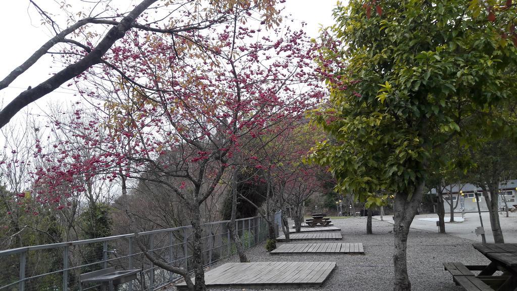 Qing Jing Xiao Taiyang Jingguan Homestay Renai Exterior photo